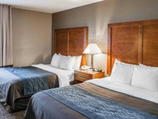 Comfort Inn South - 1