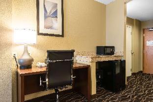 Comfort Suites Tampa Airport North - 4