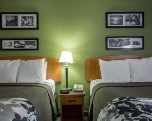 Sleep Inn & Suites near Sports World Blvd - 7