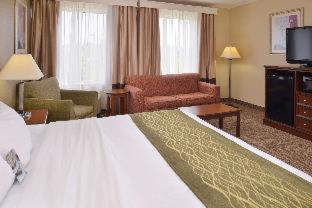 Comfort Inn Dickson - Dickson - 7
