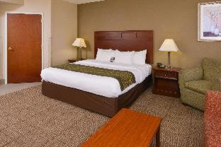 Comfort Inn Dickson - Dickson - 6
