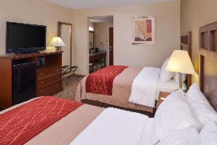 Comfort Inn Dickson - Dickson - 3