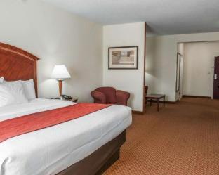 Comfort Suites near Indianapolis Airport - 7