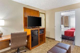 Comfort Suites Oakbrook Terrace near Oakbrook Center - Oakbrook Terrace - 6
