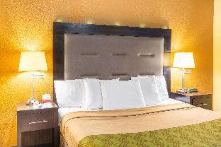 Econo Lodge - Clarks Summit - 8
