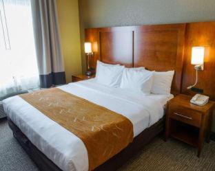 Comfort Suites Grand Rapids South - Grand Rapids - 8