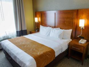 Comfort Suites Grand Rapids South - Grand Rapids - 5