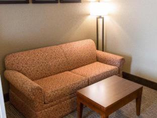 Comfort Suites Grand Rapids South - Grand Rapids - 3