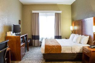 Comfort Suites Grand Rapids South - Grand Rapids - 1