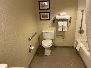 Comfort Suites Near Casinos - Norwich - 6