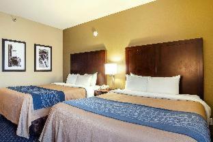 Comfort Inn & Suites Sea-Tac Airport - SeaTac - 6