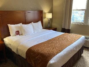 Comfort Suites Near Casinos - Norwich - 5