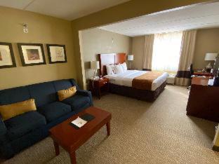 Comfort Suites Near Casinos - Norwich - 4