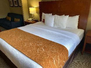 Comfort Suites Near Casinos - Norwich - 3
