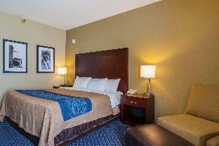 Comfort Inn & Suites Sea-Tac Airport - SeaTac - 3