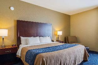 Comfort Inn & Suites Sea-Tac Airport - SeaTac - 1