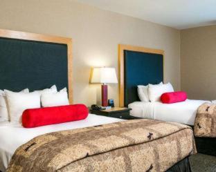 Cambria Hotel Ft Collins - Fort Collins - 1