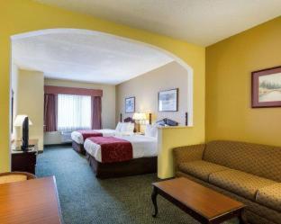 Comfort Suites Bush Intercontinental Airport - 6