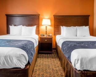 Comfort Suites Savannah Gateway I-95 - Savannah - 3