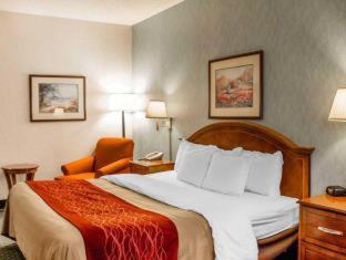 Comfort Inn & Suites Streetsboro - Kent - 3
