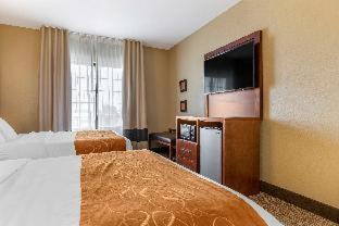 Comfort Suites Grand Rapids South - 2
