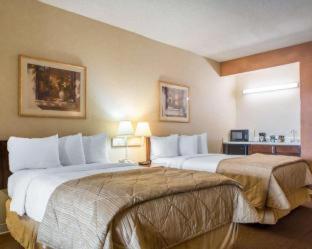 Quality Inn & Suites Ridgeland - 6