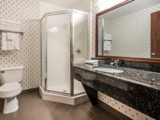 Comfort Suites Madison West - Middleton - Madison - 5