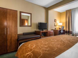 Comfort Suites Madison West - Middleton - 3