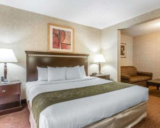 Comfort Suites Omaha East-Council Bluffs - 4