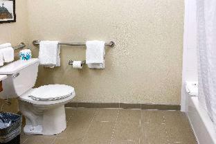 Comfort Suites - Clarksville - 2