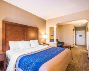 Comfort Inn & Suites Dover-Portsmouth - Dover - 6