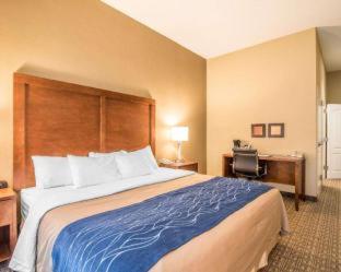 Comfort Inn & Suites Dover-Portsmouth - Dover - 5