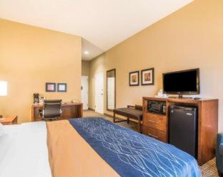 Comfort Inn & Suites Dover-Portsmouth - Dover - 3