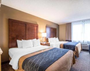 Comfort Inn & Suites Dover-Portsmouth - Dover - 2