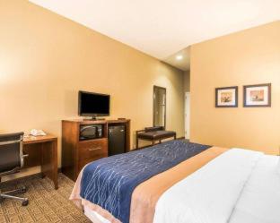 Comfort Inn & Suites Dover-Portsmouth - Dover - 1