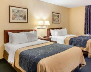Quality Inn University Area - Farmville - 5