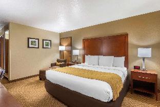 Comfort Inn & Suites Springfield I-44 - Springfield - 6