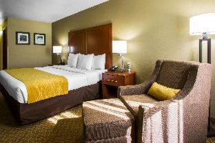 Comfort Inn & Suites Springfield I-44 - 3