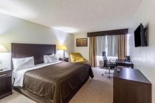 Clarion Inn near McAllen Airport - McAllen - 9