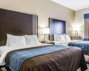 Comfort Inn - Sullivan - 5