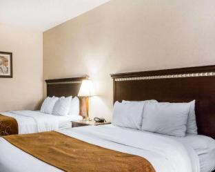 Comfort Suites Denver North - Westminster - 7