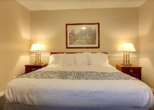 Alpine Inn & Suites Rockford - Rockford - 5