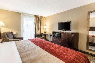 Comfort Inn Lansing West - Lansing - 8