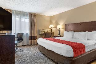 Comfort Inn Lansing West - Lansing - 4