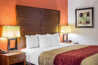 Comfort Inn Greensboro - Kernersville - Greensboro - 9