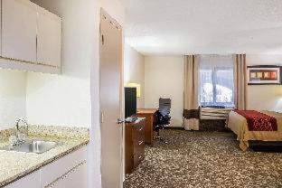 Comfort Inn Greensboro - Kernersville - Greensboro - 7