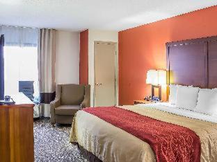 Comfort Inn Greensboro - Kernersville - Greensboro - 3