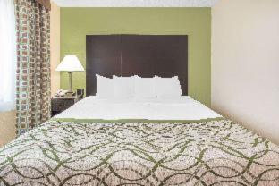 Baymont by Wyndham Holland - 6