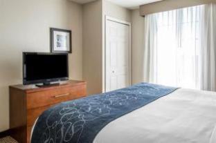 Comfort Suites Near Potomac Mills - Woodbridge - 7