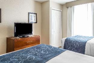 Comfort Suites Near Potomac Mills - Woodbridge - 6